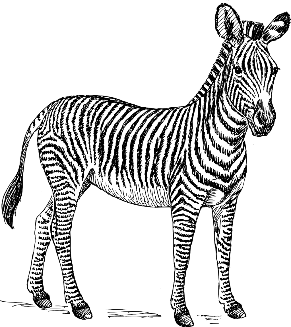 Le jour où j&rsquo;ai découvert que j&rsquo;étais&nbsp;HQI