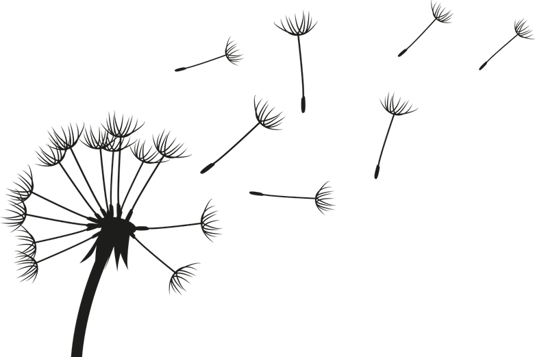 Un pissenlit dans le vent