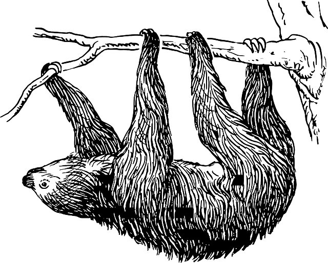 Volonté, motivation, procrastination, frustrations : l&rsquo;enfer des&nbsp;surdoués