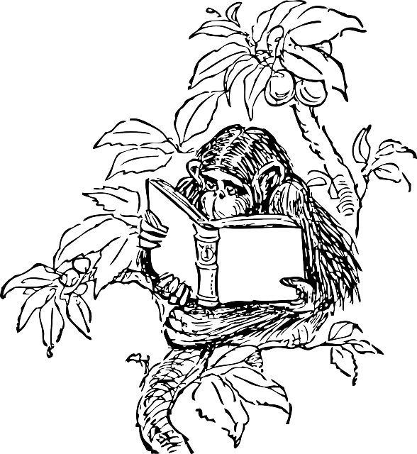 singe en train de lire