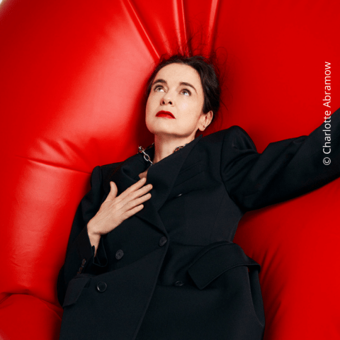 Retours d&rsquo;Amélie Nothomb sur mes&nbsp;romans