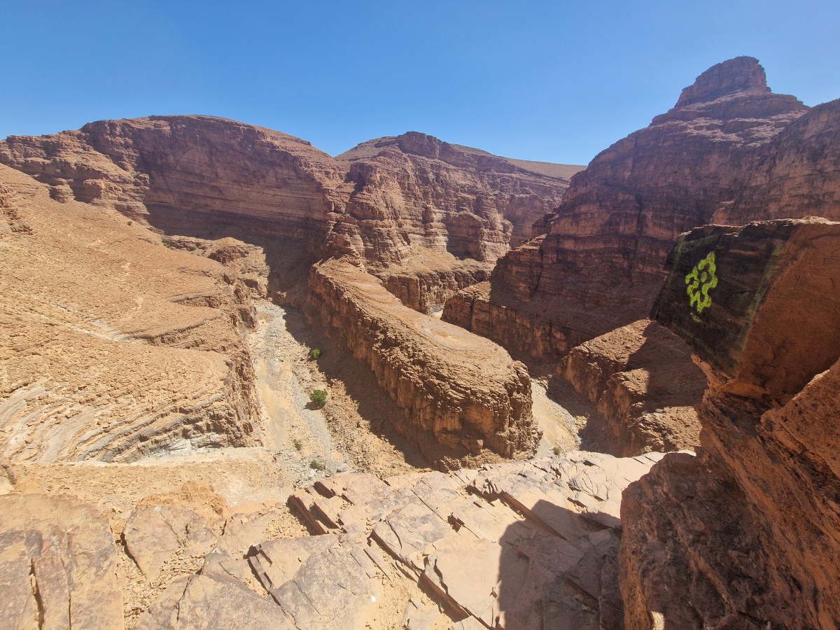 Pensées de vacances
