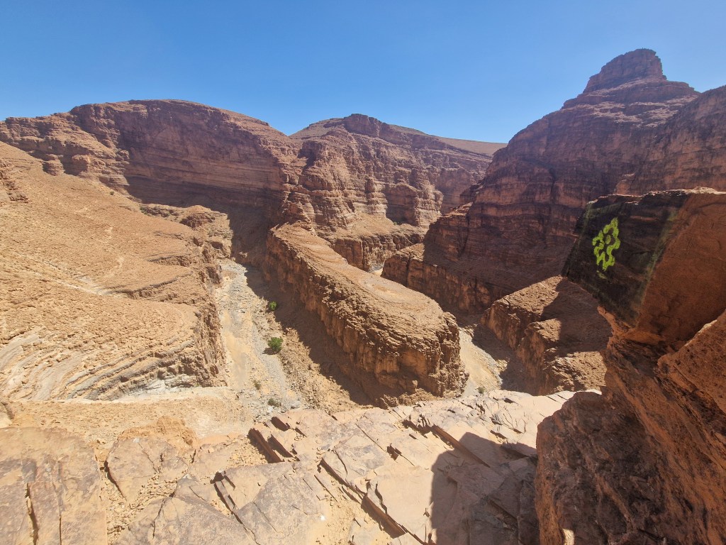 Pensées de vacances