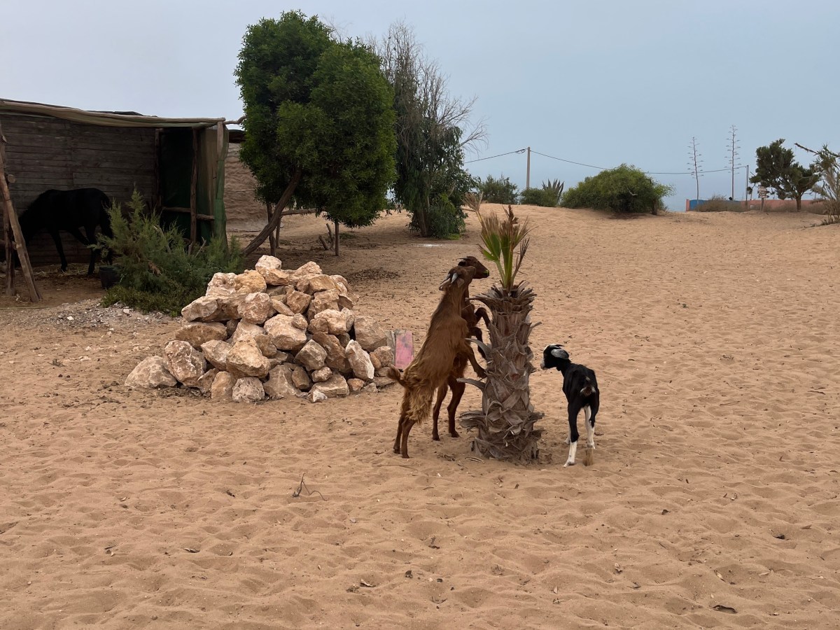 C&rsquo;est étrange, les&nbsp;vacances