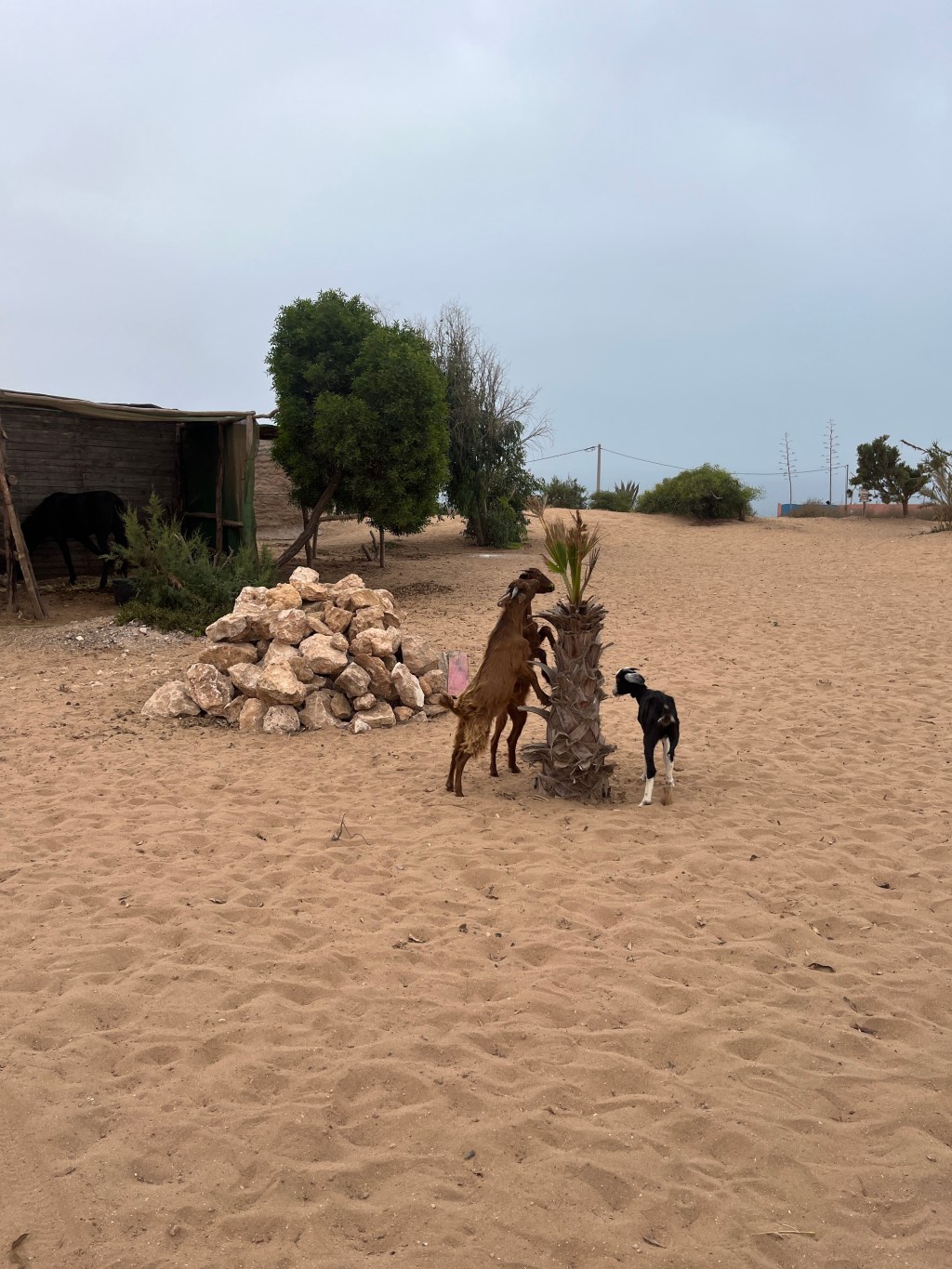 C&rsquo;est étrange, les&nbsp;vacances