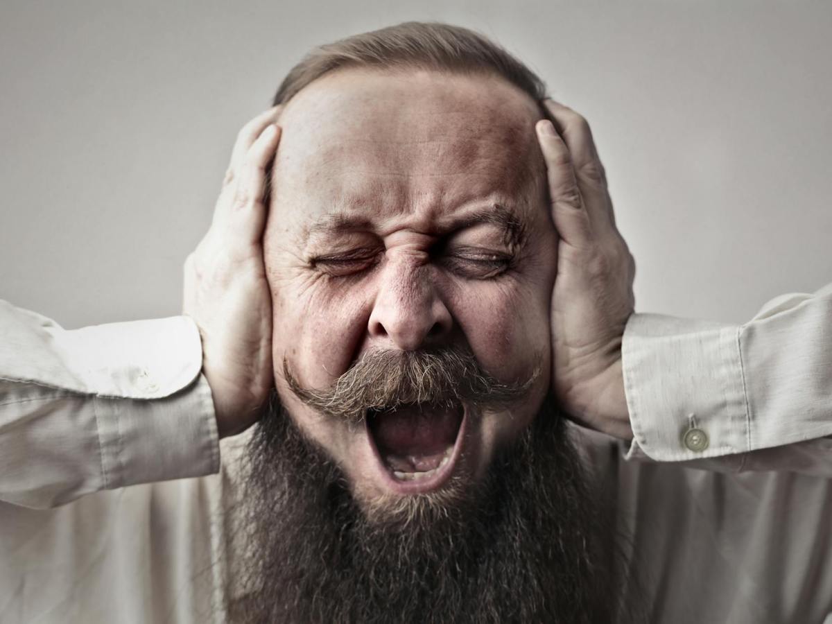 La voix et le&nbsp;silence